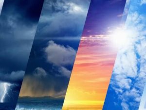 image-hava